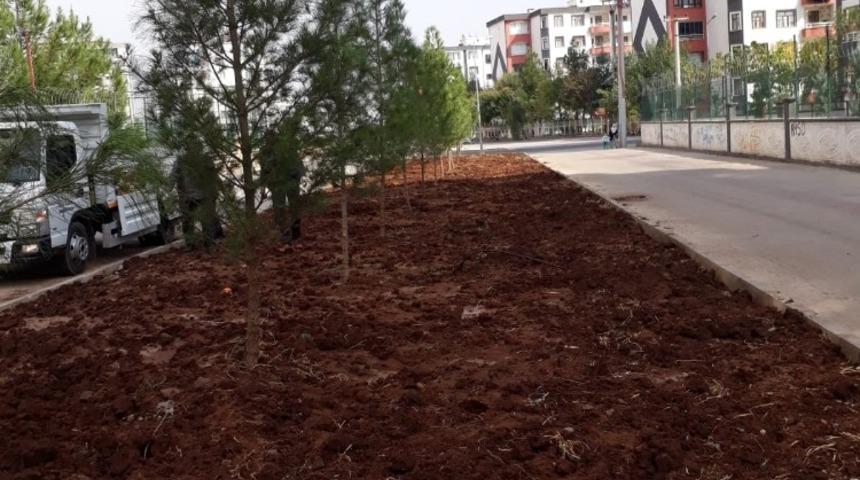 Hedef yeniden yeşil Bağlar