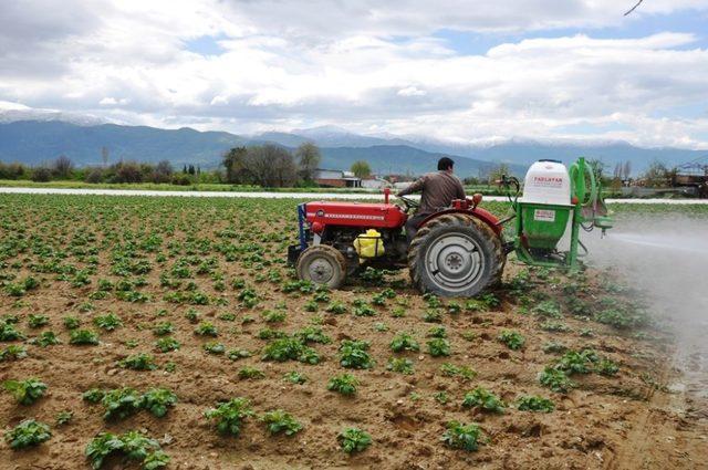 Patates üreticisinde 1,5 lira beklentisi