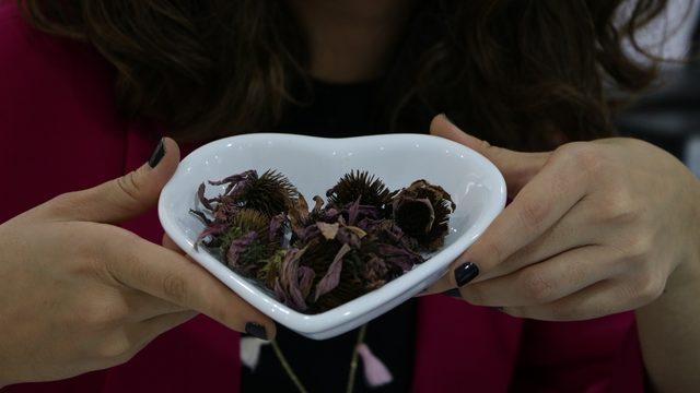 Bağışıklık sistemi nedir? Bağışıklık sistemini güçlendiren besinler nelerdir?