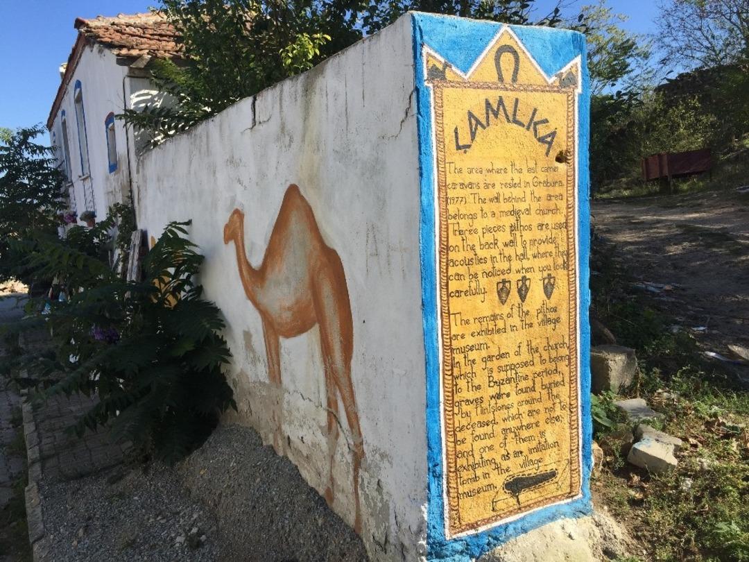 Can sıkıntısı ile başladı, g&ouml;n&uuml;ll&uuml;lerin katılımıyla b&uuml;y&uuml;d&uuml;