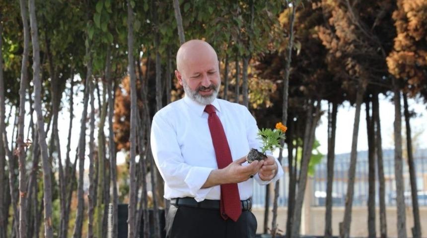 Kocasinan’da herkesin dikili bir ağacı olacak