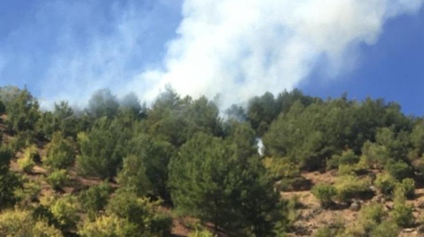 Gaziantep’te orman yangını