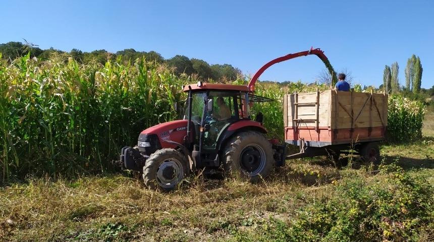 Pazarlar&rsquo;da silajlık mısır hasadına başlandı