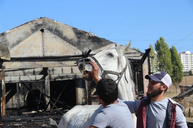 At çiftliğindeki yangında 1 milyon lira maddi hasar