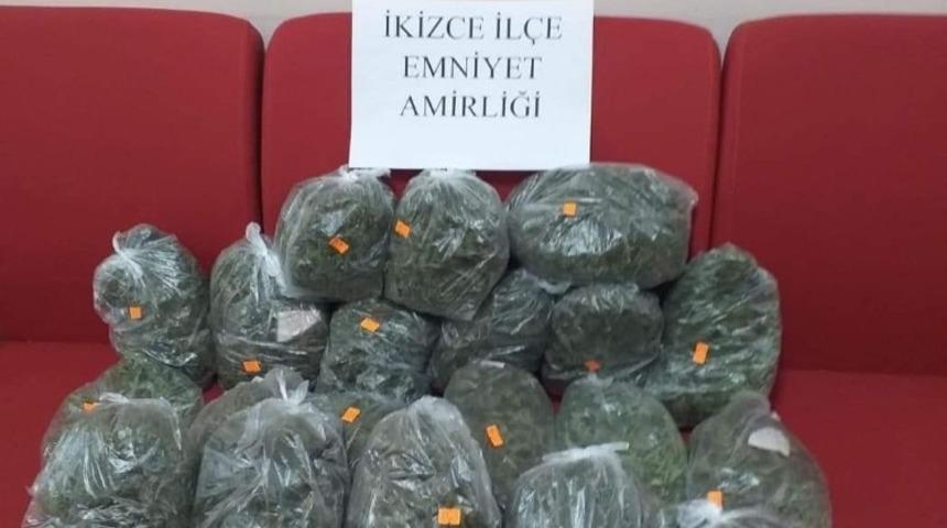 Ordu’da arı kovanında esrar ele geçirildi