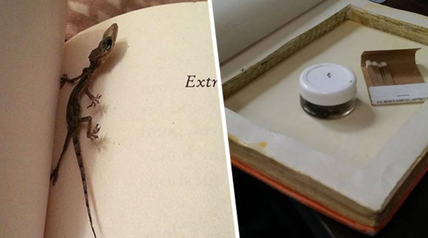 İkinci el kitapların içinden çıkanlar pes dedirtti! 