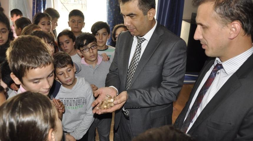 Safran geleceğe taşınıyor