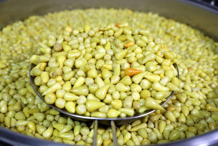 Acı biber reçeli Arap turistlerin gözdesi oldu! İşte acı biber reçeli tarifi G3