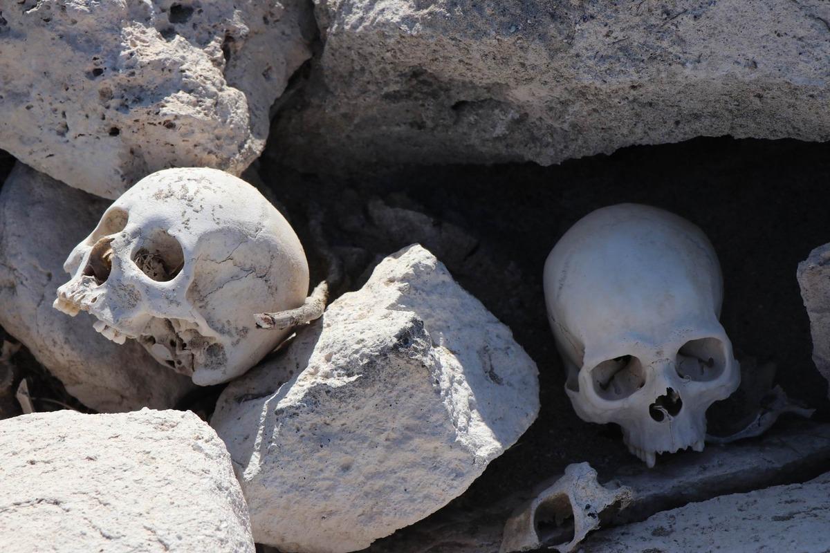 Kayseri'de t&uuml;yler &uuml;rperten g&ouml;r&uuml;nt&uuml;