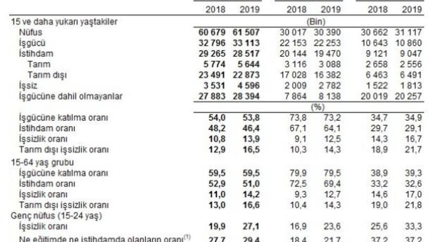 TÜİK- İşsizlik Temmuz döneminde yüzde 13.9'a yükseldi (2)