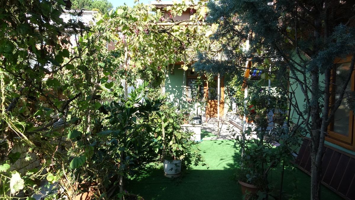 Yeşile doyamadı, evini botanik bah&ccedil;eye &ccedil;evirdi