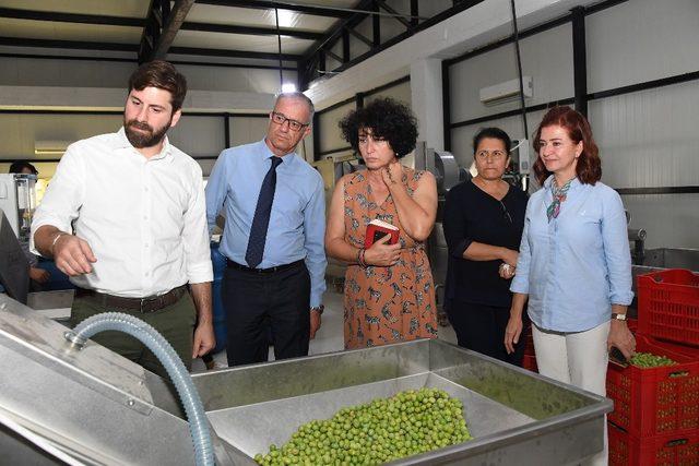 Neptün Soyer ve Meral Seçer, kooperatifleşme için el ele verdi