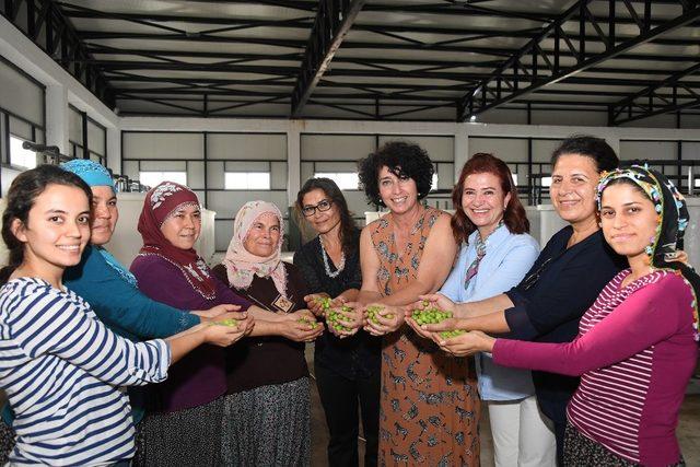 Neptün Soyer ve Meral Seçer, kooperatifleşme için el ele verdi