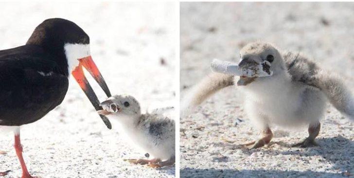 Daha temiz bir dünya için yeni akım: #FillTheBottle! G4