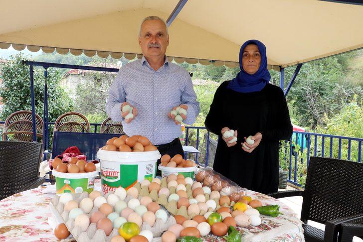 Yeşil renkli yumurta üretimi ile taleplere yetişemiyor G5