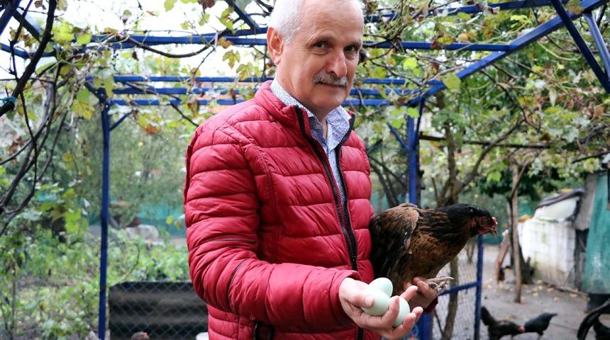 Yeşil renkli yumurta &uuml;retimi ile taleplere yetişemiyor