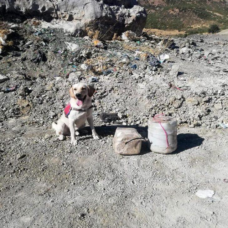 Siirt'te askerin dikkati faciayı önledi!  G1