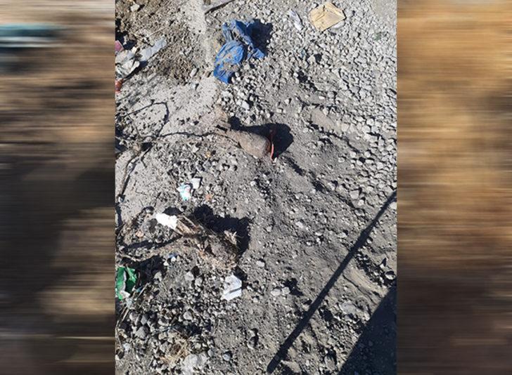 Siirt'te askerin dikkati faciayı önledi!  G5