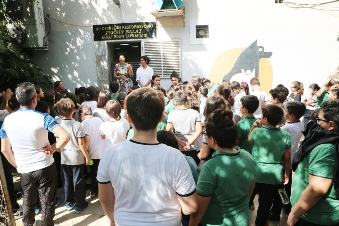 GKV&rsquo;liler har&ccedil;lıklarını sokak hayvanları i&ccedil;in biriktirdi