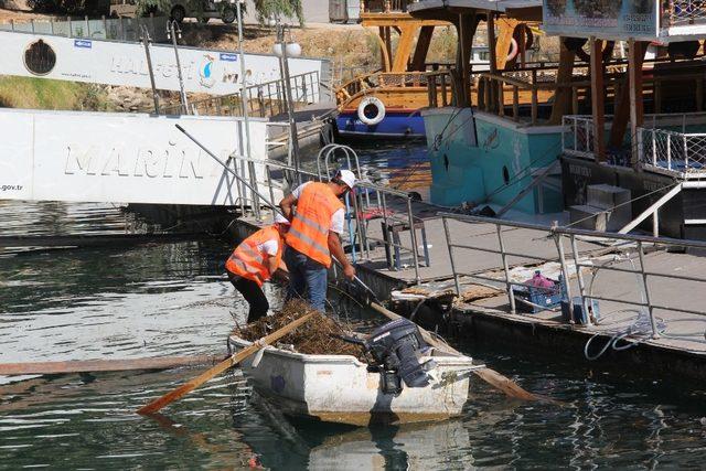 Büyükşehir Fırat Nehri’ni temizliyor