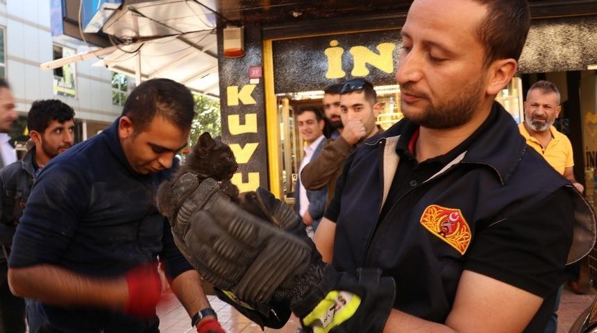 Araç motoruna sıkışan yavru kedi kurtarıldı
