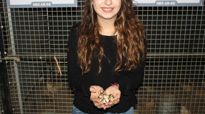 M&uuml;zikle ayar verilip HBX-2371 ile beslenen bıldırcınlar, altın yumurtladı