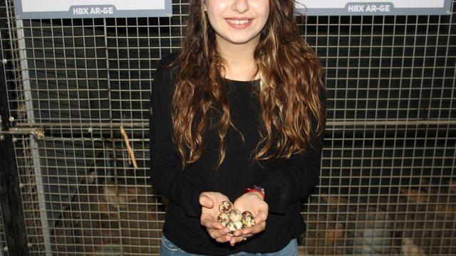  Müzikle ayar verilip HBX-2371 ile beslenen bıldırcınlar, altın yumurtladı