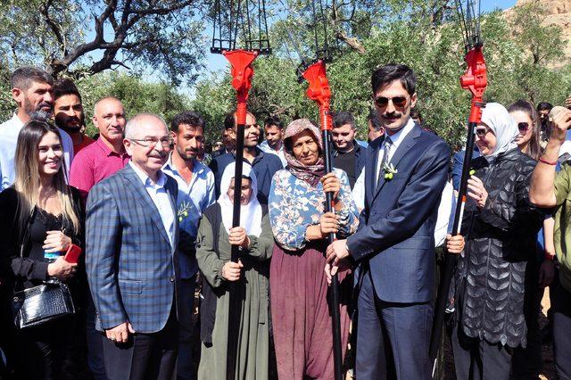 Derik'te üreticilere akülü zeytin toplama makinesi dağıldı