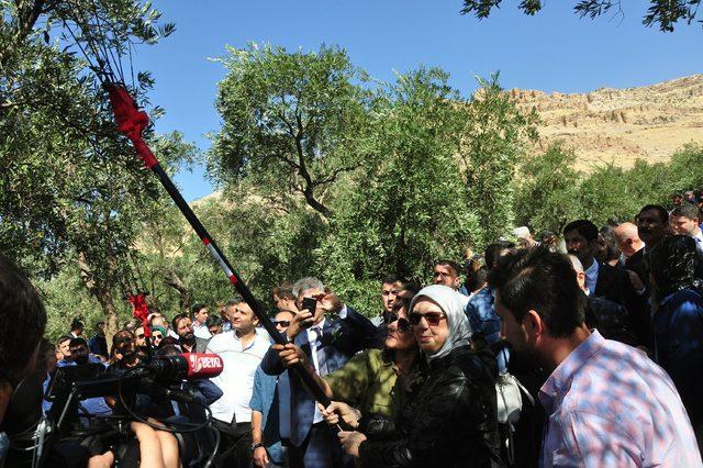 Derik'te üreticilere akülü zeytin toplama makinesi dağıldı