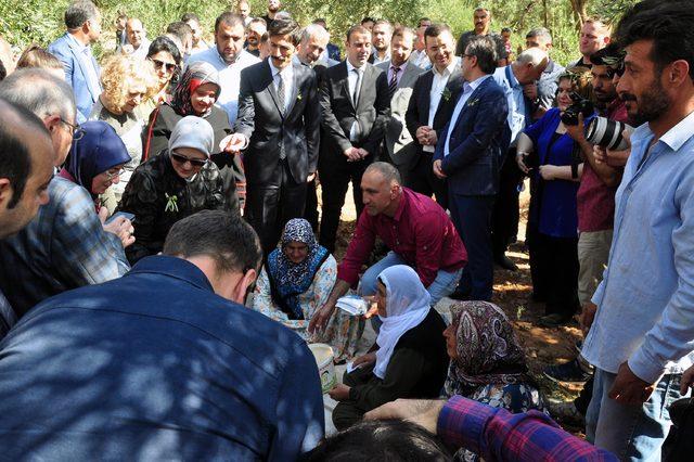 Derik'te üreticilere akülü zeytin toplama makinesi dağıldı