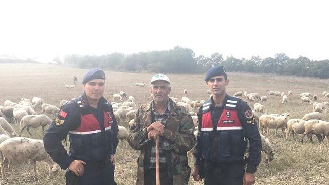 Çaldığı koyunları satamadan yakalandı