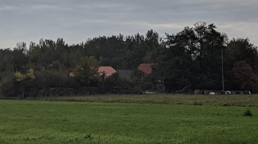 Hollanda'da 9 yıldır bodrumda 'dünyanın sonunu' bekleyen aile bulundu