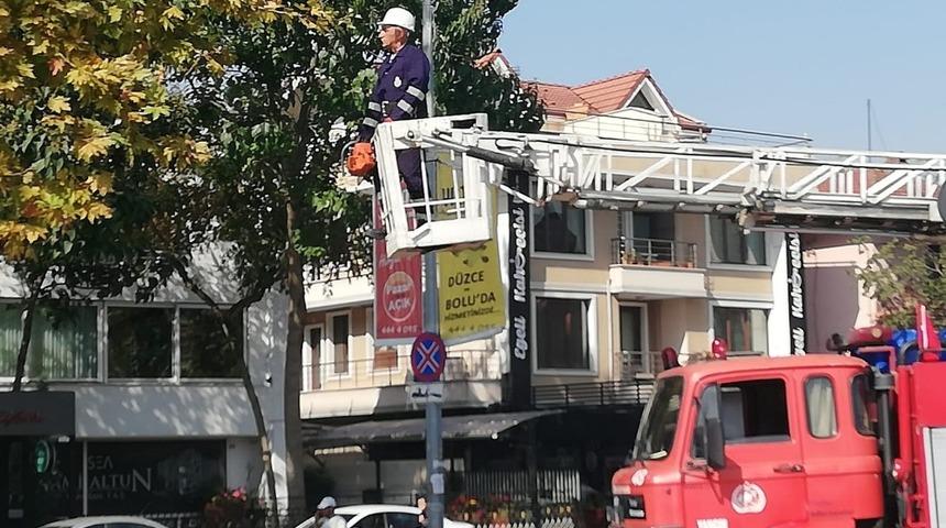 Teknik ekibe budama eğitimi verildi
