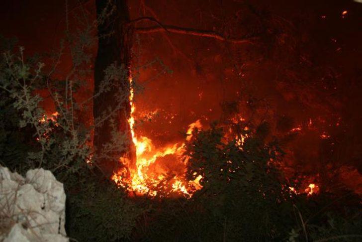 Evlere sıçrama tehlikesi var! Mersin'de büyük yangın! G2