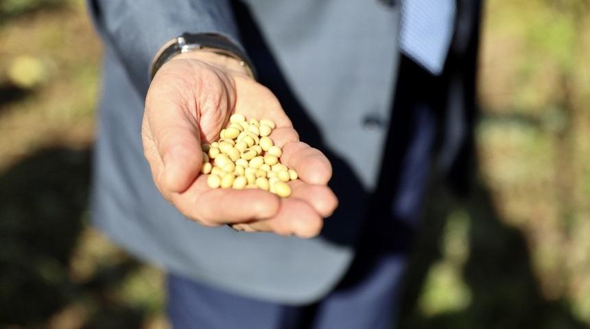 Ordu, soyaya yöneliyor