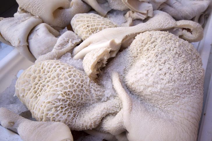 Sakatat nedir? Sakatat çeşitleri nelerdir? Sakatat tüketmek zararlı mıdır? G4