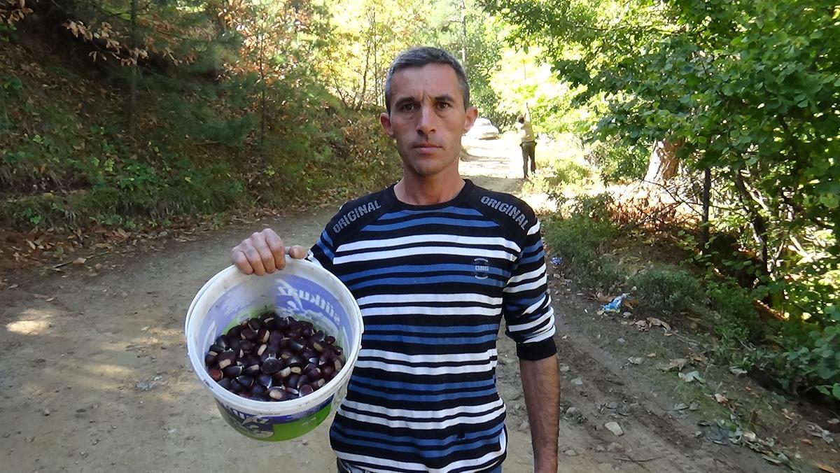 Kaz Dağı kestanesi, b&ouml;lge halkının gelir kaynağı oldu! Kilosu 10 lira