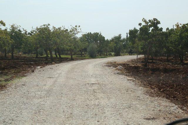 Haliliye kırsalında yol yapım atağı