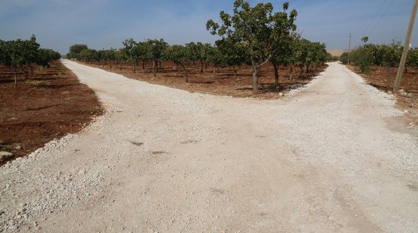 Haliliye kırsalında yol yapım atağı