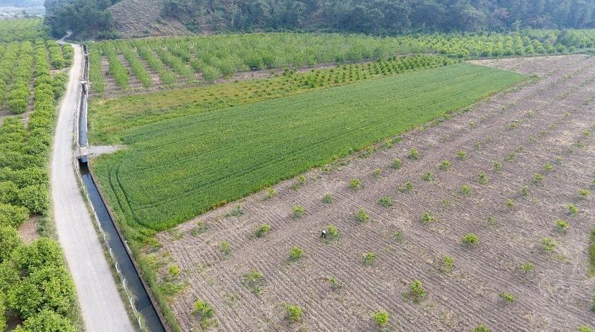 Muğla&rsquo;da 121 bin 3000 dekar tarım arazisi sulandı