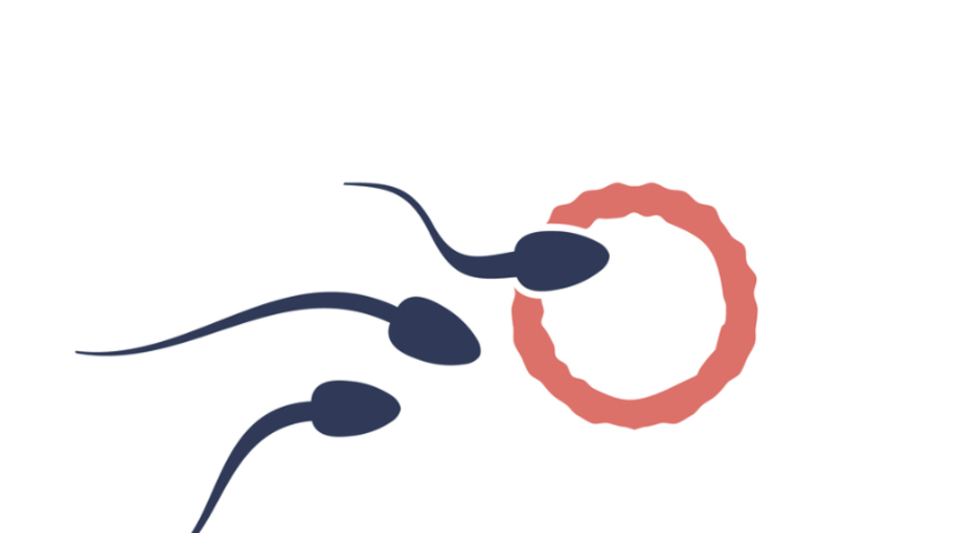 Kimler tüp bebek yaptırabilir, tüp bebek tedavisine ne zaman başlanmalı?