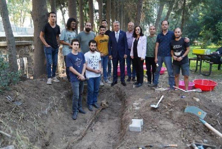 5 yıl önce toprağa gömülen 'şişe burunlu' yunusun iskeleti topraktan çıkarıldı G2