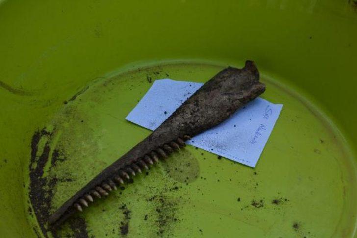 5 yıl önce toprağa gömülen 'şişe burunlu' yunusun iskeleti topraktan çıkarıldı G3