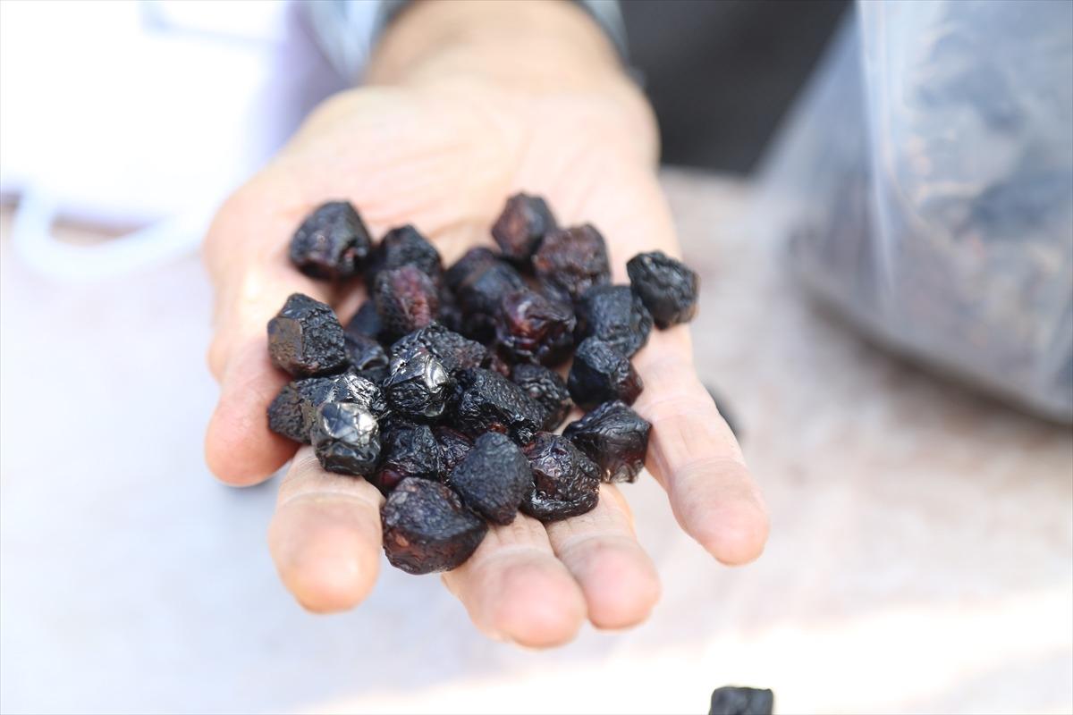  'Hasarlı kirazları' kurutarak ekonomiye kazandırıyorlar
