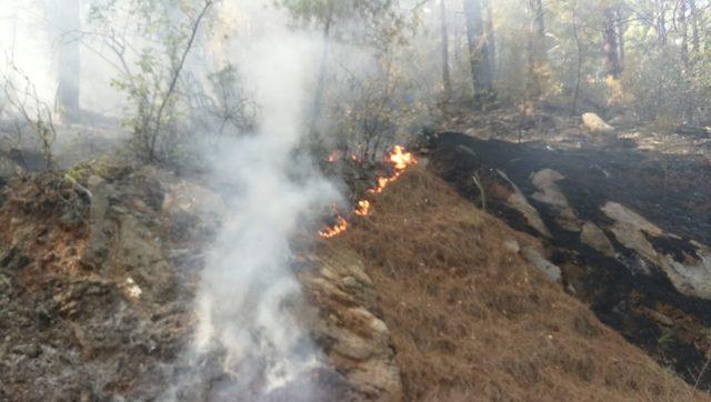 Anamur'da yıldırım düşmesiyle çıkan orman yangınlarına müdahale