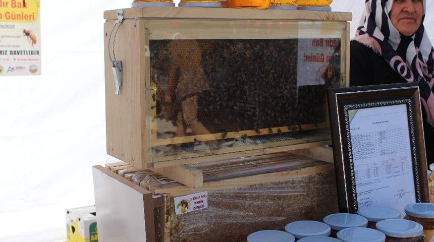 Iğdır Balı Tanıtım G&uuml;nleri başladı