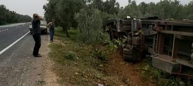 Şişe yüklü tır zeytin bahçesine devrildi