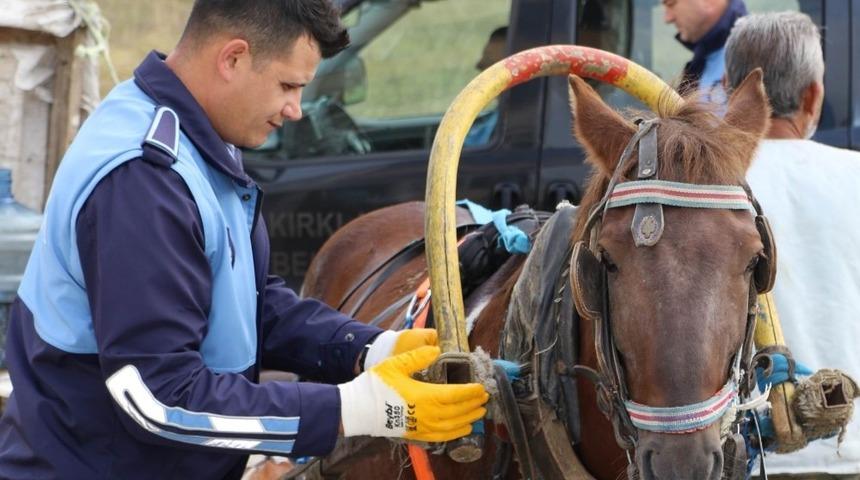 Zabıtadan at arabası denetimi