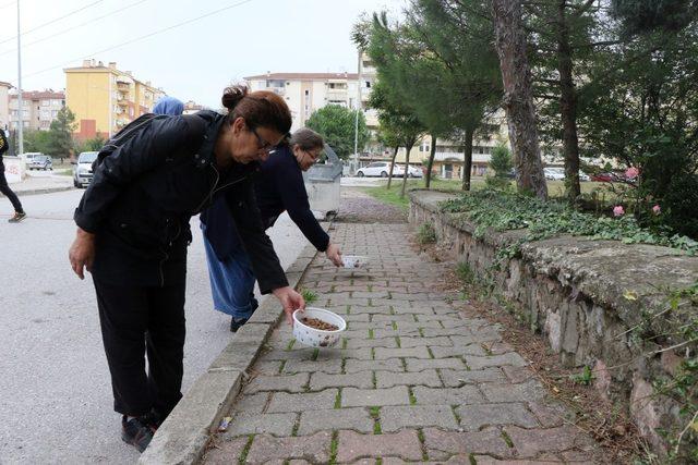 Annelerden sokak hayvanlarına anlamlı destek