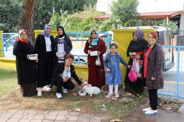 Annelerden sokak hayvanlarına anlamlı destek